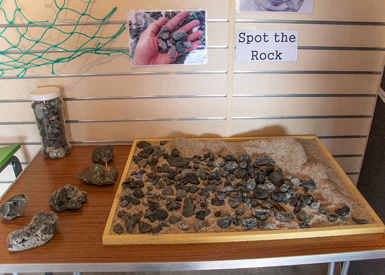 Marine Pollution Display