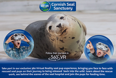 Exclusive 360 deg Virtual Reality Seal Pup Experience