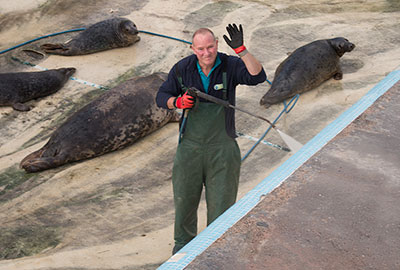 Alex - Cleaning the convalescent pool