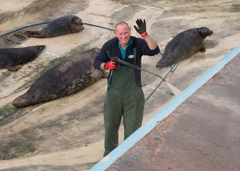 Alex cleaning the convalescent pool
