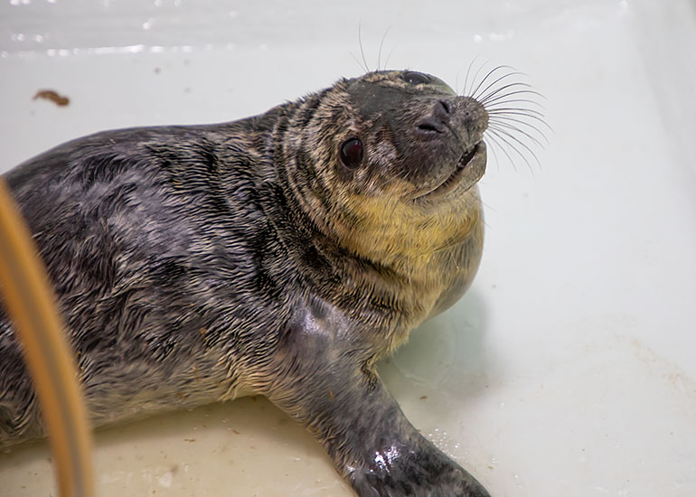 Andre - photo taken on 26th January 2019