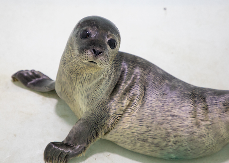 Applewood - photo taken on 10th June 2022