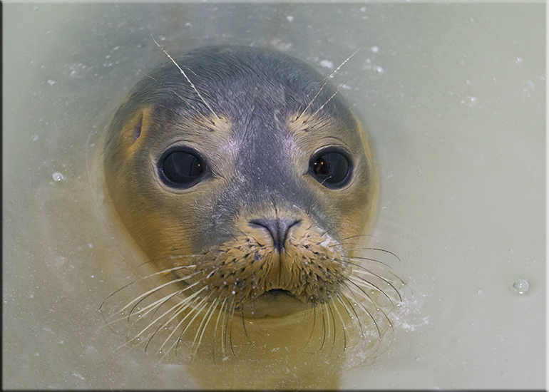 Aqua - photo taken on 3rd September 2016