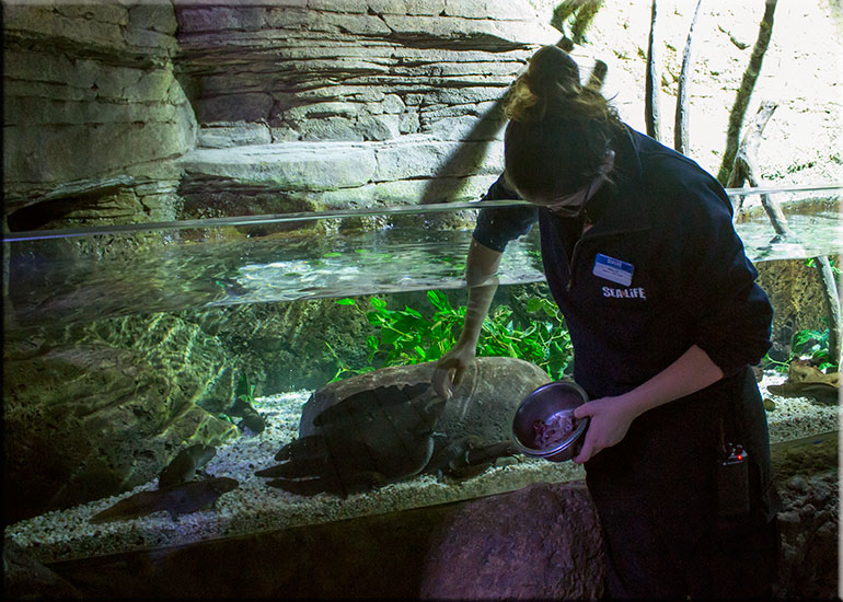 Aquarium