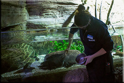Aquarium