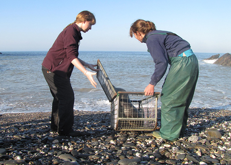 Armstrong and Lyra were released back to the wild on 17th April 2014