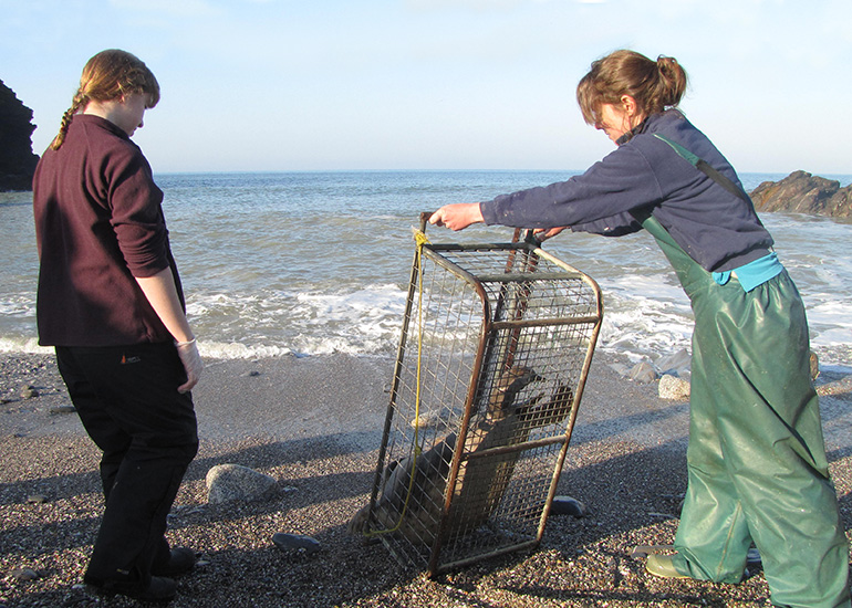 Armstrong and Lyra were released back to the wild on 17th April 2014