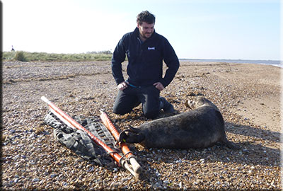 Athena being released back into the wild on 21st April 2015
