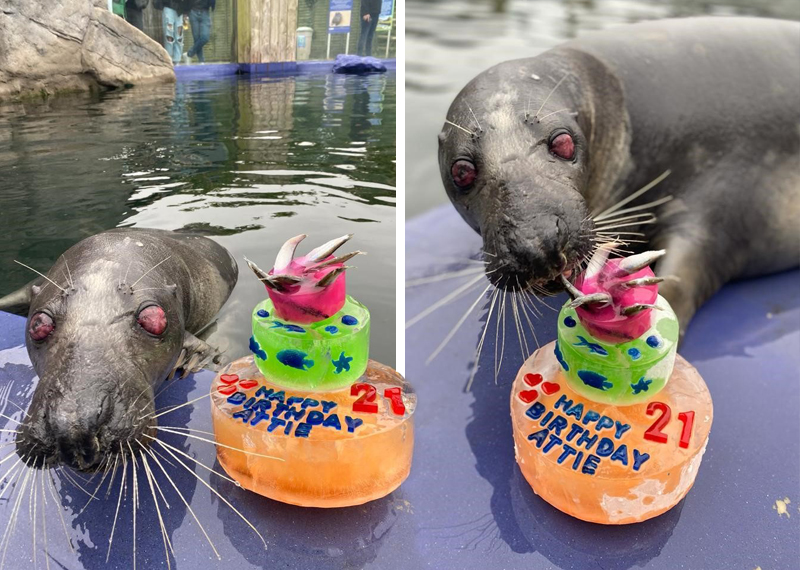 Happy  21st Birthday Atlanta!