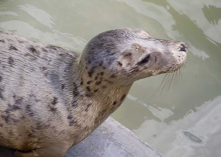 Ayla  - 12th April 2014