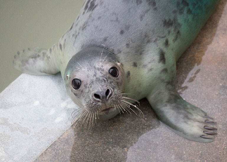 Backgammon - photo taken on 27th December 2015