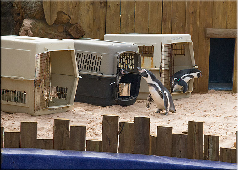 Hunstanton SEA LIFE Sanctuary