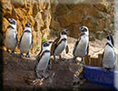 Hunstanton SEA LIFE Sanctuary - 23rd September 2014