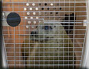 Hunstanton SEA LIFE Sanctuary - 23rd September 2014
