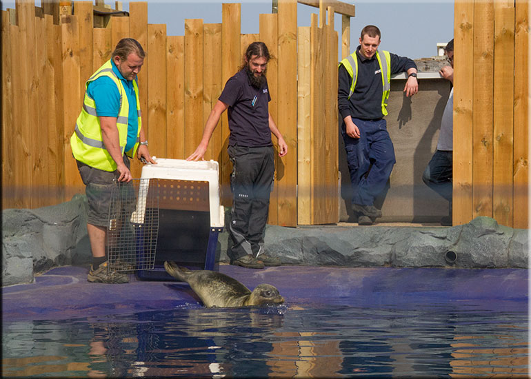 Hunstanton SEA LIFE Sanctuary