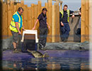 Hunstanton SEA LIFE Sanctuary - 23rd September 2014
