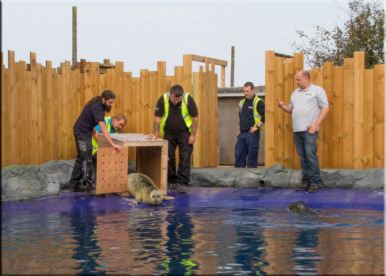 Hunstanton SEA LIFE Sanctuary
