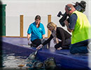 Hunstanton SEA LIFE Sanctuary - 23rd September 2014
