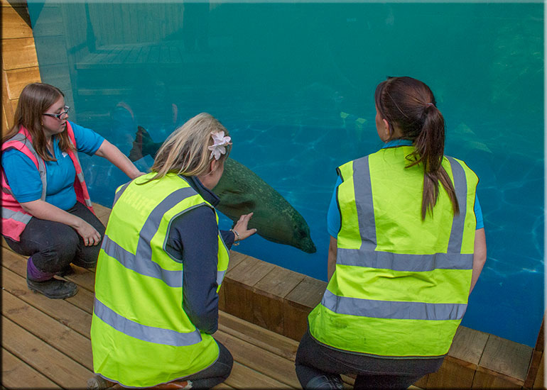Hunstanton SEA LIFE Sanctuary