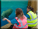 Hunstanton SEA LIFE Sanctuary - 23rd September 2014