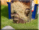 Hunstanton SEA LIFE Sanctuary - 23rd September 2014