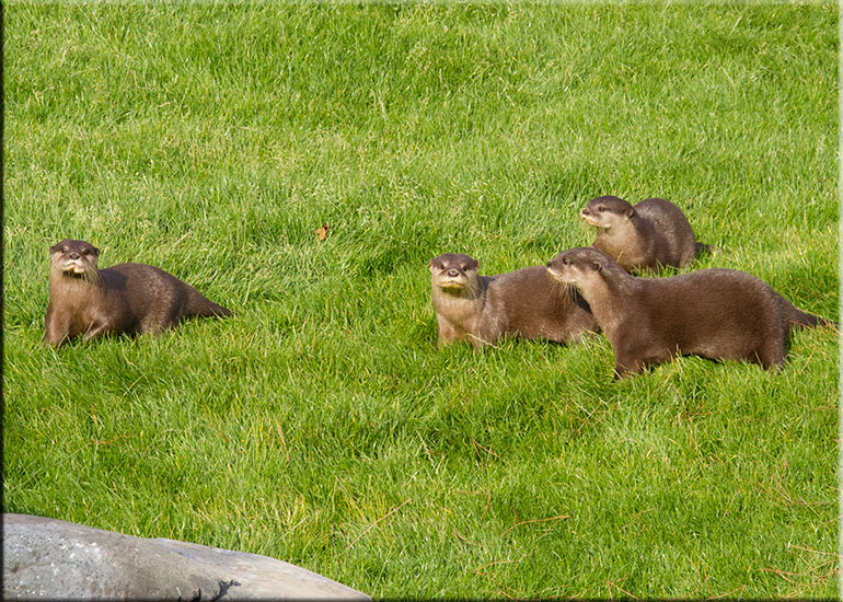 Hunstanton SEA LIFE Sanctuary
