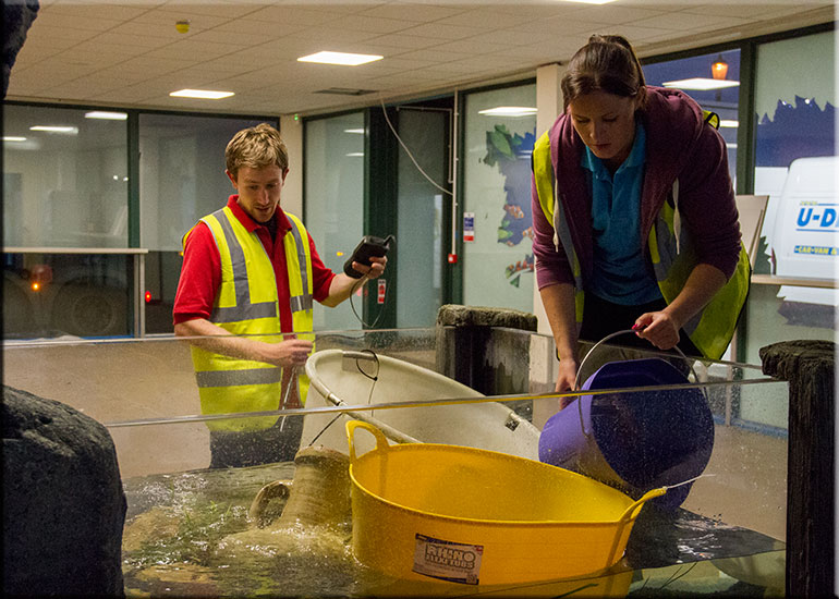 Hunstanton SEA LIFE Sanctuary