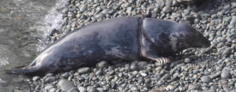 Photo by Lisa Morgan on 7th September 2014