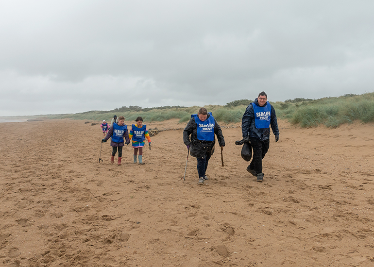 Beach Clean Day - 8th June 2019