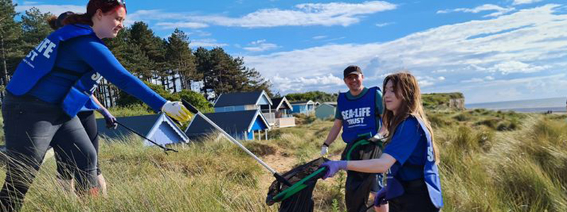 Beach clean day