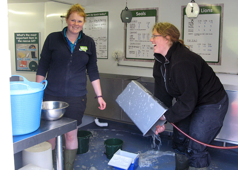 New for 2013 - Behind the Scenes Seal Hospital Tour