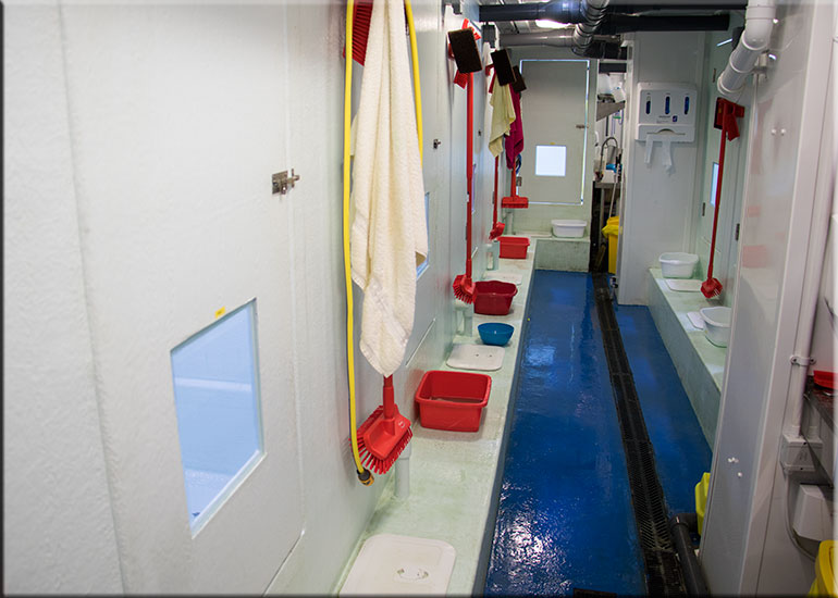 Behind the scenes at the seal hospital 