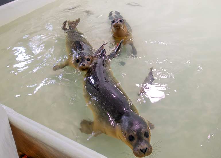 This photo taken on 17th September 2019