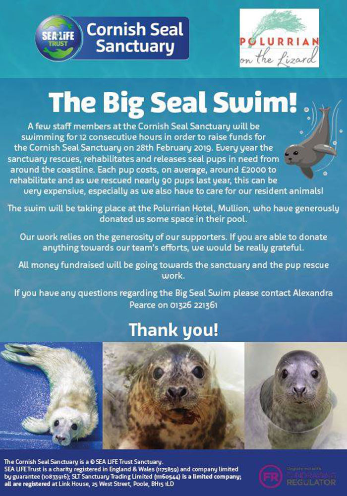 Big Swim - 28th February 2019