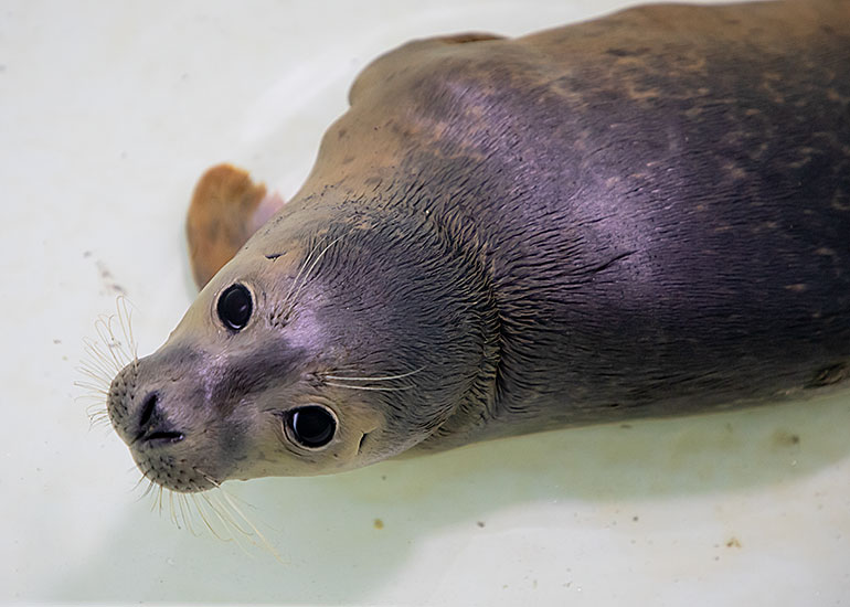 Bilbao  - photo taken on 16th November 2018