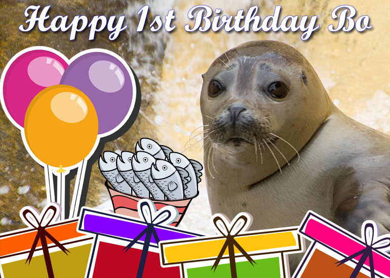 Bo's 1st birthday card