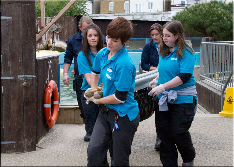 Boris - 10th June 2013