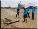 Boris released back into the wild on 10th June 2013