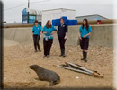 Boris released back into the wild on 10th June 2013