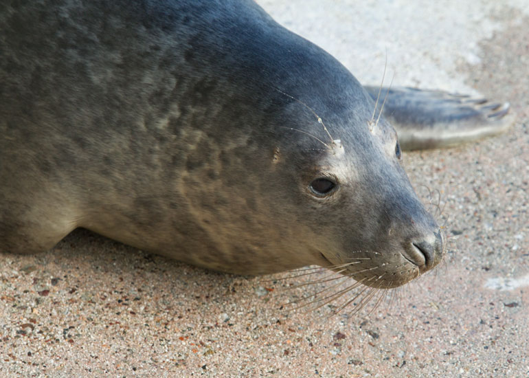 Brian - 22nd February 2014