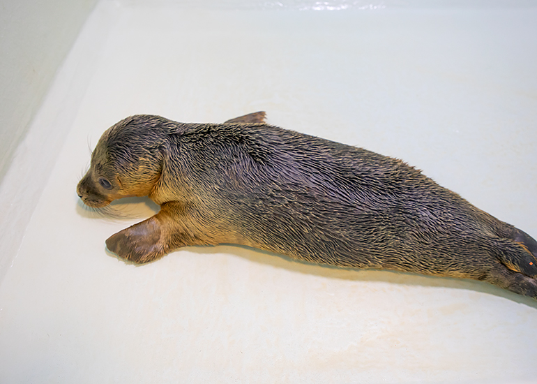 Bruce - photo taken on 14th July 2019