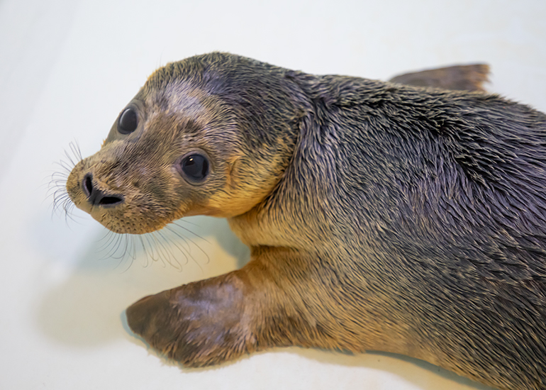 Bruce - photo taken on 14th July 2019