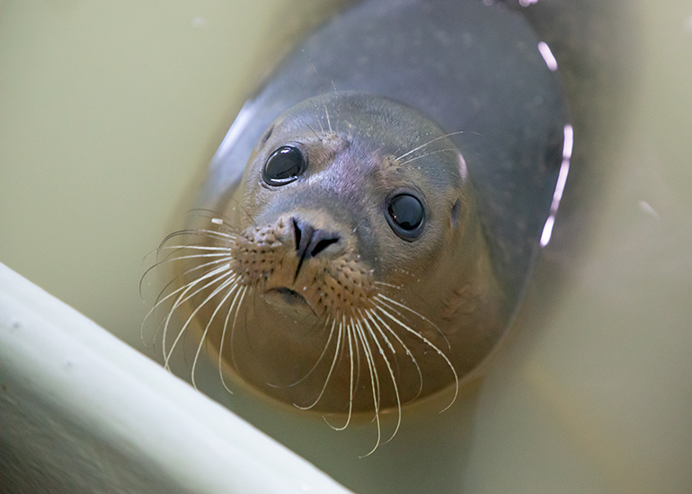 This photo taken on 27th October 2019