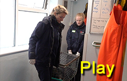 Captain Hook at the Seal Sanctuary - January 2020 - April 2020