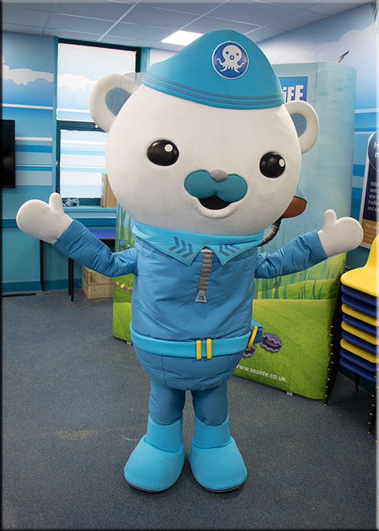 The Octonauts
