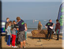 CBBC Wild Show