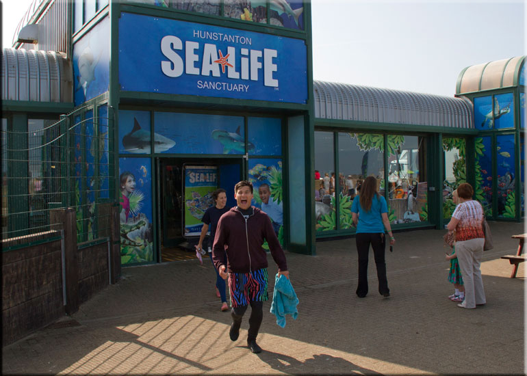 CBBC Wild Show 13th July 2013