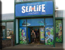CBBC Wild Show