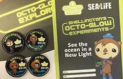 Octonaut Octo-Glow Explorer