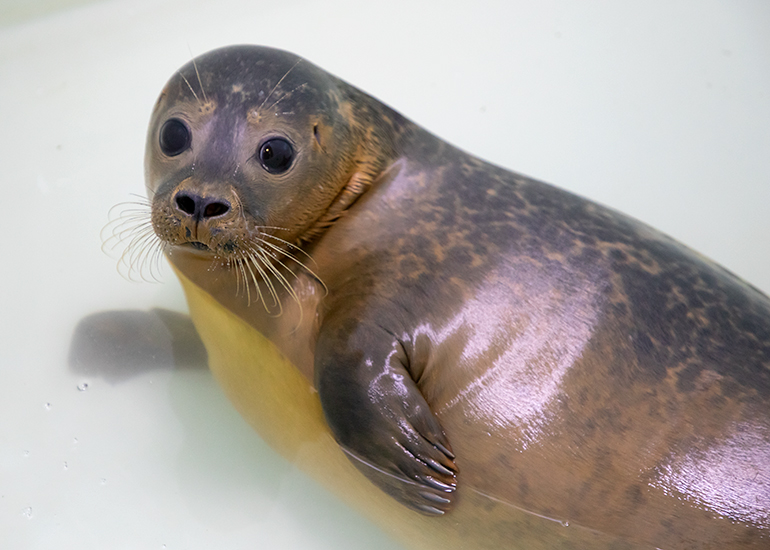 Cher - photo taken on 27th October 2019